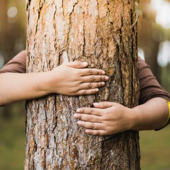 Dziecko przytula drzewo w lesie. W Państwie Środka mogłoby zostać ukarane ze względu na zakaz przytulania drzew w Chinach.