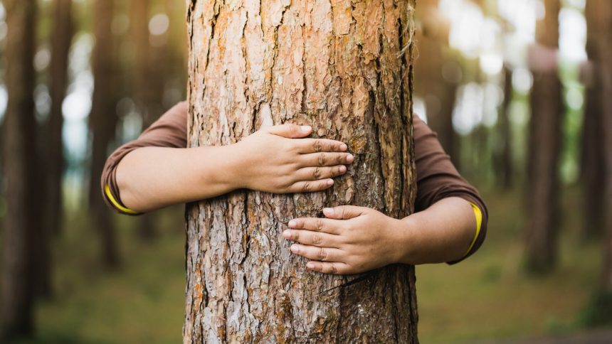 Dziecko przytula drzewo w lesie. W Państwie Środka mogłoby zostać ukarane ze względu na zakaz przytulania drzew w Chinach.