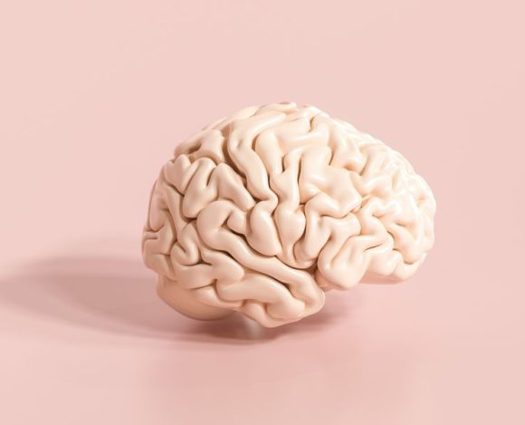 Najważniejsze ciekawostki o mózgu. Na zdjęciu mózg-figurka.