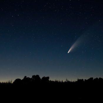 Kosmiczny spektakl. Skąd biorą się spadające gwiazdy? NA zdjęciu jedna spadająca gwiazda na nocnym niebie.