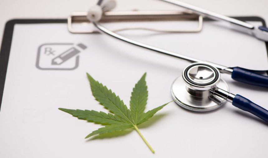 Marihuana medyczna – stary-nowy trend w leczeniu. Na zdjęciu liść marihuany i stetoskop.